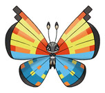 ���������꡼ No.039�Υ���ͥ������ / �֥ݥ��åȥ�󥹥���X��Y�ס��ݥ����ο����ʰ�����ˡ�֥����ѡ��ȥ졼�˥󥰡פξܺ٤������ˡ������ݥ���Ȥζ�����ޤ���