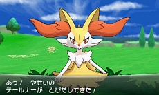 ポケットモンスター X Y カロス地方に潜む伝説のポケモン ジガルデ の情報が明らかに メガストーンの入手場所やフレンドサファリの情報も公開