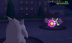 ポケットモンスターx Y ゲンガー ハッサム のプレゼントを2月1日から28日までポケモンセンターで実施 新作グッズ Pokemon Petit も紹介