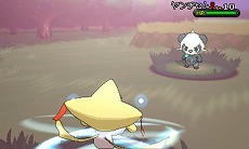 ���������꡼ No.012�Υ���ͥ������ / �ݥ���󡤡֥ݥ���󤿤ʤФ��ޤĤ�׼»ܡ������������顼����ץ쥼���