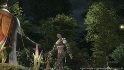 ꡼ No.053 | F.A.T.E.ƥư֥եʥե󥿥XIV를ץɦ¥ƥȡե1ľľᥤ󥿥ӥ塼