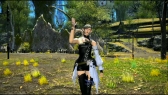 FFXIVץǤ٥ޡ81ۿ ֤Ҥ椭Pեʥե󥿥XIV: 를פ3Ƥݡ