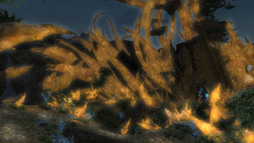 ꡼ No.022 | ץ¥ƥȳľΡ֥եʥե󥿥XIV를סޤޤǤɲä줿¥ƥȥե3ƤݡȤ褦