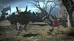 ꡼ No.003Υͥ / E3 2014ϡֿFFXIVפο饹зΡ׿֡Ǧԡפѥå2.4Ǽ