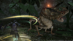 ꡼ No.026Υͥ / E3 2014ϡֿFFXIVפο饹зΡ׿֡Ǧԡפѥå2.4Ǽ
