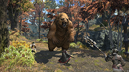 ꡼ No.001Υͥ / ֥եʥե󥿥XIV를סåץǡȡ֥ѥå2.3פߥȤȥȥ쥤顼