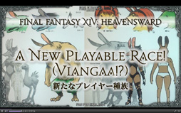 ꡼ No.010Υͥ / Ĥ˥奬ɤȤʤĥѥå֥եʥե󥿥XIVŷΥ奬ɡȯɽ٥륭åײɲǤȯɽ줿Ĵֱݡ