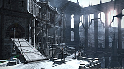 ꡼ No.051Υͥ / Ĥ˥奬ɤȤʤĥѥå֥եʥե󥿥XIVŷΥ奬ɡȯɽ٥륭åײɲǤȯɽ줿Ĵֱݡ