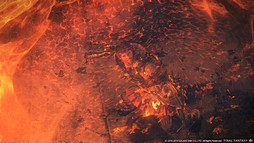 ꡼ No.064Υͥ / Ĥ˥奬ɤȤʤĥѥå֥եʥե󥿥XIVŷΥ奬ɡȯɽ٥륭åײɲǤȯɽ줿Ĵֱݡ