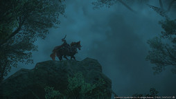 ꡼ No.033 | FFXIVΰˤ٤Ƥη夬֥եʥե󥿥XIV를סľؤΥѥå2.5ѡ1ľ󥿥ӥ塼Ǻ