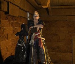 ꡼ No.035 | ݤ˥ɤ˥ץ⡣ơ٥ʡ˥˥Ķ2015Υեʥե󥿥 XIV֡ݡ