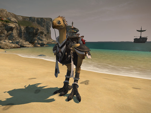 ꡼ No.011Υͥ / 쥭ŷưԤϴˤդ路ɼʱФˡFFXIVŷΥ奬ɡץѥå3.4ľľᥤ󥿥ӥ塼