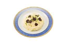 ꡼ No.005Υͥ / ֥եʥե󥿥XIVסʥ륤٥ȡ2016פ1215鳫š֥를եפǴָ˥塼