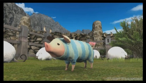 ꡼ No.077Υͥ / FFXIVץꥪ쥦Ĳؤ87 ѥå4.4줿FATE45ץǥ塼쥿LIVEץݡ