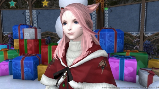 ���������꡼ No.003�Υ���ͥ������ / �֥ե����ʥ�ե��󥿥���XIV�פǥ��٥�ȡ�����ספ����š������를�����ե��ξ����