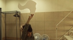 ���������꡼ No.002�Υ���ͥ������ / ��THE PRIMALS�ץ��ޥ�饤�֥ĥ��������ͤ��Ͽ����Blu-ray������ȯ��