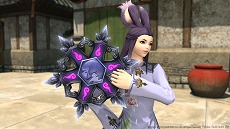 ���������꡼ No.010�Υ���ͥ������ / �֥ե����ʥ�ե��󥿥���XIV�פȡ��Ų������å��פΥ���ܥ��٥�Ȥ��������ȡ��������Ȥ�ĩ�路����17�Τ��Ų���ͧã�ˤʤ���