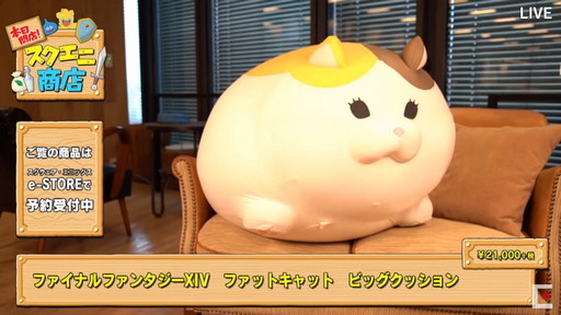 ꡼ No.010 | TGS 2020ϥ˾ŹFFɥ饯οåȯɽʸݥ