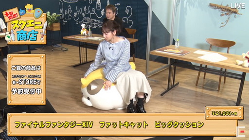 ꡼ No.011 | TGS 2020ϥ˾ŹFFɥ饯οåȯɽʸݥ