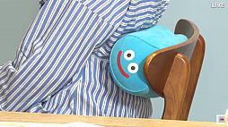 ꡼ No.019 | TGS 2020ϥ˾ŹFFɥ饯οåȯɽʸݥ