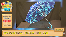 ꡼ No.022 | TGS 2020ϥ˾ŹFFɥ饯οåȯɽʸݥ