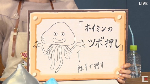 ꡼ No.036 | TGS 2020ϥ˾ŹFFɥ饯οåȯɽʸݥ