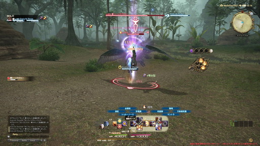 ꡼ No.019Υͥ / FFXIVǷΥեʡפδ¸17֤ѲǧѤäΤ