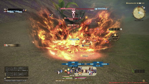 ꡼ No.020Υͥ / FFXIVǷΥեʡפδ¸17֤ѲǧѤäΤ