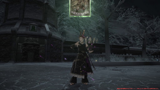 ꡼ No.066Υͥ / FFXIVǷΥեʡפδ¸17֤ѲǧѤäΤ