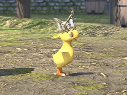 ꡼ No.031 | ֥եʥե󥿥XIVפοʥƤߤʤ8ǯʾ³MMORPG¸ߤ륢֥ȤҲ