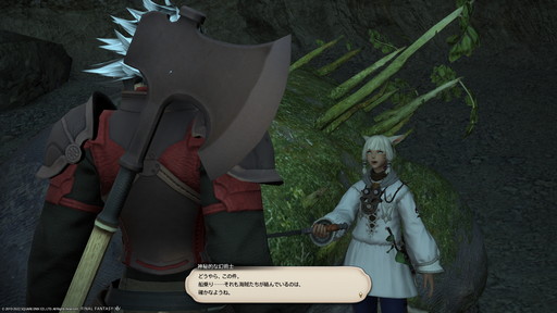 ꡼ No.005 | FFXIVפͷ֤ʤ鲿㤨Ф 줫Ϥ褦¤äƤĶ鿴Ԥ˥೫ϤޤǤΥƥåפҲ