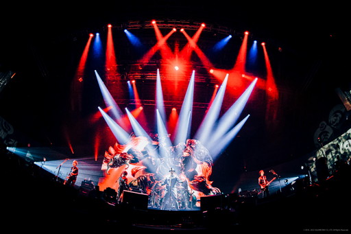 ꡼ No.006 | 4ǯ֤ΡTHE PRIMALS饤֤ˡȥ쥸ɡɤо졪THE PRIMALS Live in Japan - Beyond the ShadowץݡȤǺ