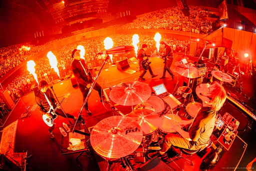 ꡼ No.028 | 4ǯ֤ΡTHE PRIMALS饤֤ˡȥ쥸ɡɤо졪THE PRIMALS Live in Japan - Beyond the ShadowץݡȤǺ