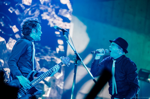 ꡼ No.031 | 4ǯ֤ΡTHE PRIMALS饤֤ˡȥ쥸ɡɤо졪THE PRIMALS Live in Japan - Beyond the ShadowץݡȤǺ