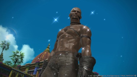 ꡼ No.007Υͥ / ֥եʥե󥿥XIVסѥå6.35о줹ǥץ󥸥ȥȡ쥫ɤʤɤΥ꡼󥷥åȤ