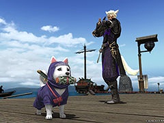 FFXIVסѥå6.45ꥢȥ󥸥 ϻɲäˡƻΤΥ٥°夲ʤɤ»