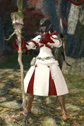 ꡼ No.041 | ֥եʥե󥿥XIVפ򺣤ͷǤס ǶᡤˤʤϤ᤿ͤ˲ƾҲ𤷤