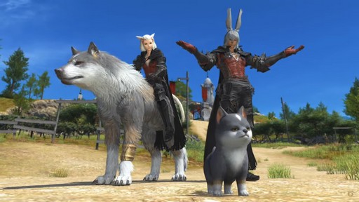 ꡼ No.081 | FFXIפ򥤥᡼饤󥹥쥤ȯɽ줿FFXIVץɥեեδĴֱݡ