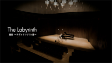 ꡼ No.005 | FFXIVפΥХForge Ahead:FINAL FANTASY XIV  Arrangement Album ȯ䡣ԥΡХɥ󥸤줿19ʤϿ