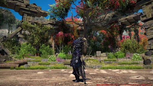 ꡼ No.015 | Υץ쥤ݡϡFFXIV: Υ쥬פδ¸DPSå11֤Ĵϡ