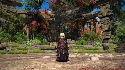 ꡼ No.034 | Υץ쥤ݡϡFFXIV: Υ쥬פδ¸DPSå11֤Ĵϡ