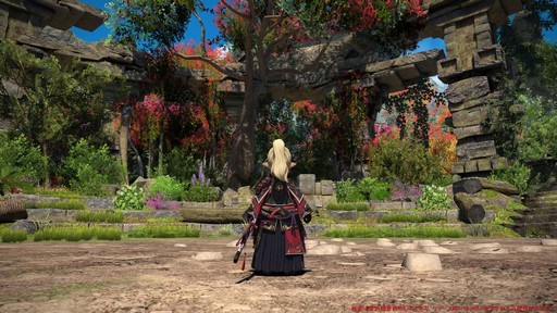 ꡼ No.036 | Υץ쥤ݡϡFFXIV: Υ쥬פδ¸DPSå11֤Ĵϡ