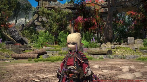 ꡼ No.038 | Υץ쥤ݡϡFFXIV: Υ쥬פδ¸DPSå11֤Ĵϡ