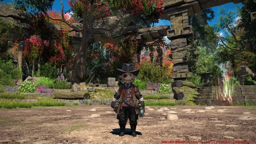 ꡼ No.062 | Υץ쥤ݡϡFFXIV: Υ쥬פδ¸DPSå11֤Ĵϡ