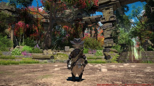 ꡼ No.064 | Υץ쥤ݡϡFFXIV: Υ쥬פδ¸DPSå11֤Ĵϡ