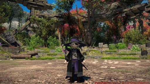 ꡼ No.079 | Υץ쥤ݡϡFFXIV: Υ쥬פδ¸DPSå11֤Ĵϡ