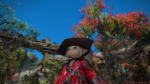 ꡼ No.104 | Υץ쥤ݡϡFFXIV: Υ쥬פδ¸DPSå11֤Ĵϡ