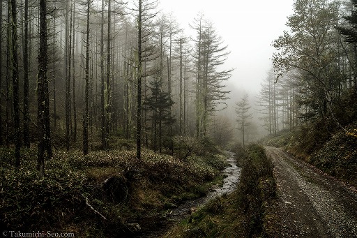 ���������꡼ No.005�Υ���ͥ������ / ��FFXIV�ס������֥��ɡ�PENTAX�פȤΥ���ܥե��ȥ���ƥ��Ȥ򳫻ϡ����޺��ʤϥꥢ�����Ÿ����ǾҲ�ͽ��