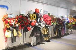 ꡼ No.006Υͥ / Υҥǲͥ꡼ʤɤ줿THE PRIMALS Live in Japan - Darkest Before Dawnץݡ