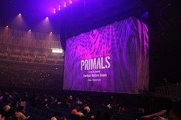 ꡼ No.012Υͥ / Υҥǲͥ꡼ʤɤ줿THE PRIMALS Live in Japan - Darkest Before Dawnץݡ